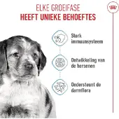 Royal Canin Medium Puppy torrfoder för valpar till medelstora hundar 1 kg
