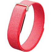 Google Fitbit Air Berry