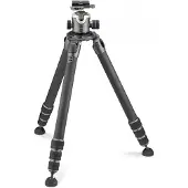 Gitzo Kit Systematic Gt5543ls + Gh4383lr Stativ