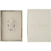 Pilgrim Smyckeset 'Sanine' silver