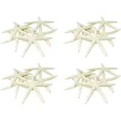 Torribaly 48ST Vit Finger Starfish 5-10Cm Dekorativ Femfinger Sjöstjärna