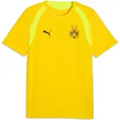 Puma Dortmund Tränings T-Shirt - Gul/Gul - , storlek Large