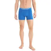 Icebreaker Anatomica Boxers