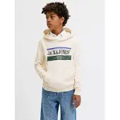 Jack & jones Junior Sweatshirt 'JORFrederiksberg' blå / gran / svart / vit