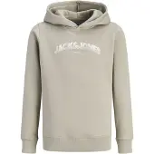 JACK&JONES JUNIOR Junior Sweatshirt 'JJAVERY' pastellgrön / vit