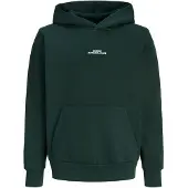 Jack & Jones Junior Sweatshirt 'JJBAY' gran / vit
