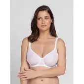 Dorina Minimizer vit