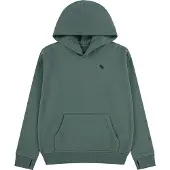 Abercrombie & Fitch Sweatshirt 'ESSENTIALS FLEECE' jade