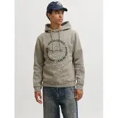 Jack & Jones Sweatshirt 'JJBenson' taupe / mörkgrön