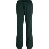 Jack & jones Junior Byxa 'JJIGORDON' gran