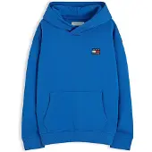 Tommy Hilfiger Heritage Flag Logo Terry Hoody