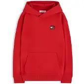 Tommy Hilfiger Heritage Flag Logo Terry Hoody