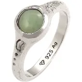 Haze&Glory Ring grön / silver