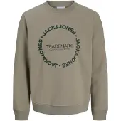 Jack & Jones Sweatshirt 'JJBENSON' jade / gran