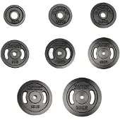 Hammer Sport Iron 2.5kg Viktplatta