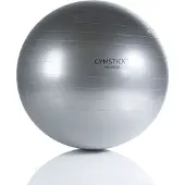 Gymstick Fitness Fitboll
