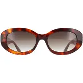 Ted Baker Oval Damars Glans Klassisk Sköldpadda Brun Gradient TB1758 Daisie