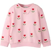 Name it Sweatshirt 'NMFNANCY' ljusgrön / rosé / röd