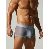 Seobean Boxershorts 'Mesh Boxer Briefs' grå