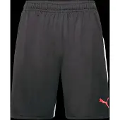 Puma Individualliga Training Shorts
