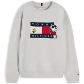 Tommy Hilfiger Peanuts Flag Graphic Embroidery Jumper