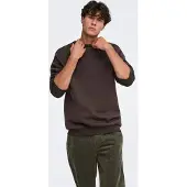 Only & Sons Sweatshirt 'ONSCERES' mörkbrun