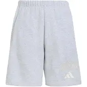 Adidas Seasonals Collegiate Typography Shorts