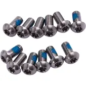 Sram Rotor Bolt Titanium T25 Vevparti Skruvsats 12 Enheter