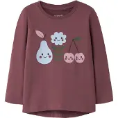 Name it T-shirt 'NMFVIX' ljusblå / gran / plommon / bär