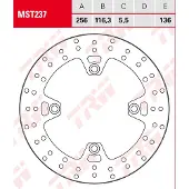 TRW Bromsskiva, bak BAK MST237 D: 256, fast