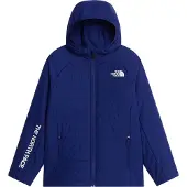 The North Face Never Stop Synthetic Jacka