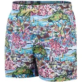Speedo Printed Leisure 14´´ Simshorts
