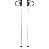 Völkl Phantastick 16 Mm Stavar
