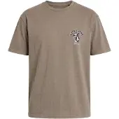 Volcom Bad Luck T-shirt Med Korta ärmar