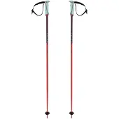 Völkl Phantastick 16 Mm Stavar