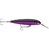 Rapala Countdown Magnum Sinking Minnow 24g 110 Mm