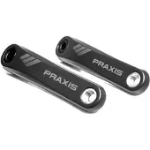 Praxis Works Specialized Carbon E-bike Vevarm