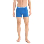 Icebreaker Anatomica Boxers