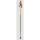 Völkl Phantastick 16mm Poles 2025 Stavar green, 110