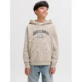 Jack & Jones Denver Logo Huvtröja