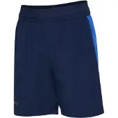 Hummel Blaze 26 Pro Training Shorts
