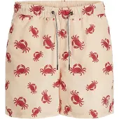 Jack & Jones Fiji Aop Simshorts