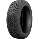 Toyo Observe EWS1