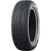 Nankang Winter Activa 4