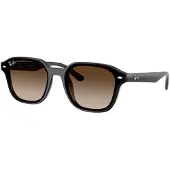 Ray-Ban 0RB4458D Solglasögon -