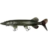 FOX Rage Ultra Natural Pike Replicant Mjukt Bete 320 Mm