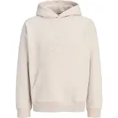Jack & Jones Sweatshirt 'JCOTRACE' greige