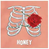 Ginza.se Honey: Weekend Millionaire