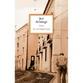Blindheten