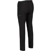 Regatta Highton Shorts